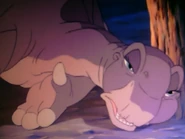 Ali knocked unconscious