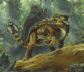 Ankylosaurus 2