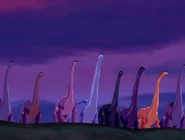 Sue with other longnecks trying to catch the sun