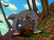 Gray sharptooth returns