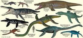 PlesiosaurModels.jpg