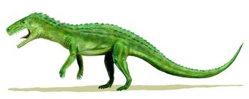 Life restoration