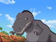 Gray sharptooth cool