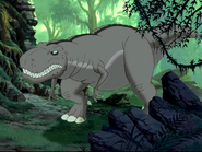 X gray sharptooth