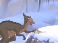 Ducky and her mother have been referred to a myriad of different species in promotional material