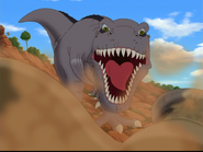 Gray sharptooth raaahhh