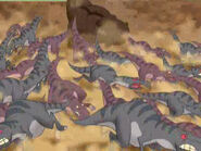 A full herd of them, from the same film