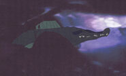 Cel of the pike