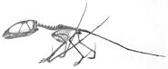 Seeley's quadrupedal Dimorphodon pose