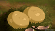 The other two fast biter babies hatch