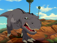 Gray sharptooth advances