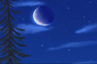 Night Circle
