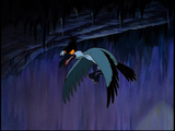 Sharptooth Flyer
