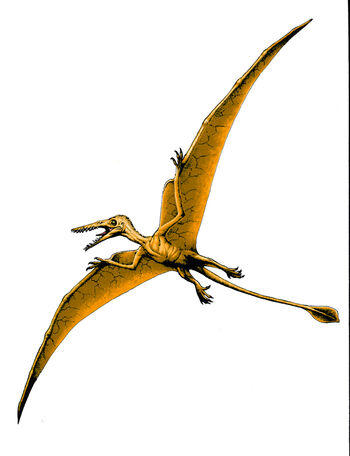 Rhamphorhynchus | Land Before Time Wiki | Fandom