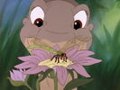 Land-before-time4-disneyscreencaps com-259