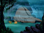 Gray sharptooth asleep