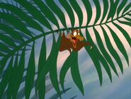 Petrie hangs from a fern during the opening narration.