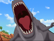 Gray sharptooth roaring