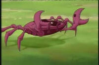 Sand Creeper