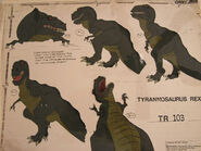 A reference sheet for Sharptooth; he is labelled "Tyrannosaurus Rex".