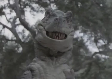 10018944555 83981cc906 b