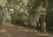 10019030803 ee45da6313 b.jpg (183 KB)