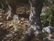 Scarface's legs.png (641 KB) Close-up of Scarface's legs.