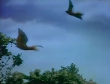 00pteranodon.jpg