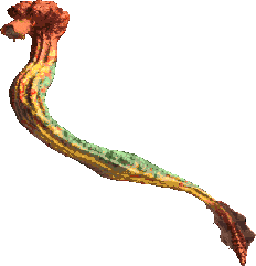 Great Worm Drar.png