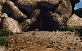 Draracle's Cave LOLGOD