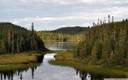 Mountain lake with coniferous forest-wallpaper-1152x720