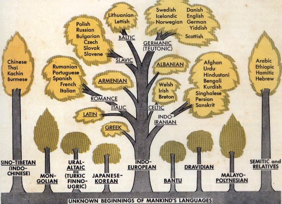 Язык tree. Генетическая классификация языков. Английский на древе языков. Языки мира в виде дерева. Indo European language Family Tree.