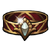Protect Ring