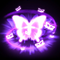 Butterfly Dance