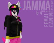 Jamma profile