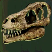 Tyrannosaurus Rex Skull