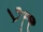 Skeleton