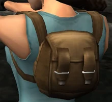 Anniversary Backpack