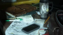 Lara's desk