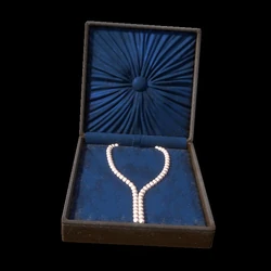 Amelia's Necklace
