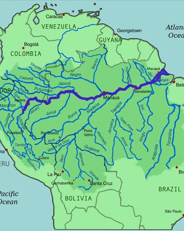 amazon lara croft wiki fandom