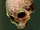 Carved Skull