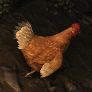 Chicken | Lara Croft Wiki | Fandom