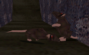 Rats in Tomb Raider III