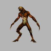 Tomb Raider: Anniversary