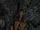 Tomb Raider 8 - 16.jpg