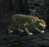 Jaguar Legend.png (610 KB) Jaguar in Tomb Raider: Legend
