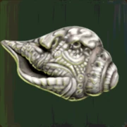 Ritual Conch