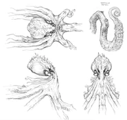 Kraken Sketch.jpg (116 KB)