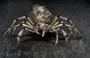 Giant-Spider Concept